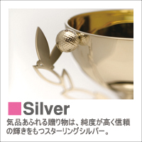 boX-silver