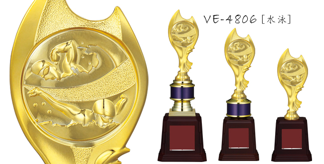VE-4806 水泳