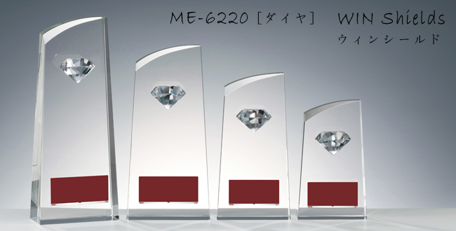 Win Shields【ウィンシールド】ME-6220