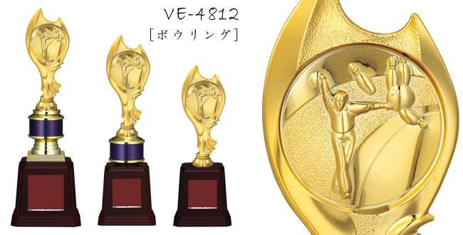 Bronzes【ブロンズ】VE-4812ボウリング