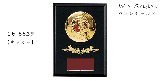 Win Shields【ウィンシールド】CE-5537サッカー