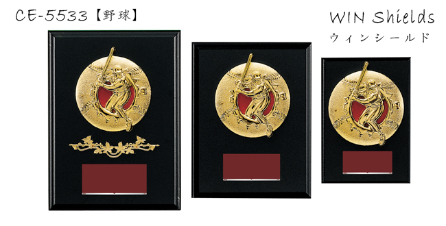 Win Shields【ウィンシールド】CE-5533野球