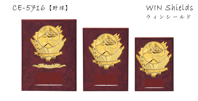 Win Shields【ウィンシールド】CE-5716野球