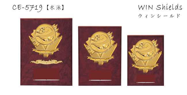 Win Shields【ウィンシールド】CE-5719水泳