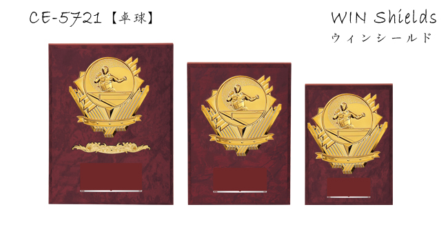 Win Shields【ウィンシールド】CE-5721卓球