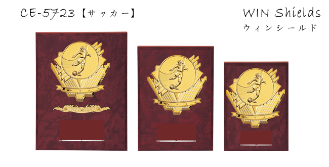 Win Shields【ウィンシールド】CE-5723サッカー