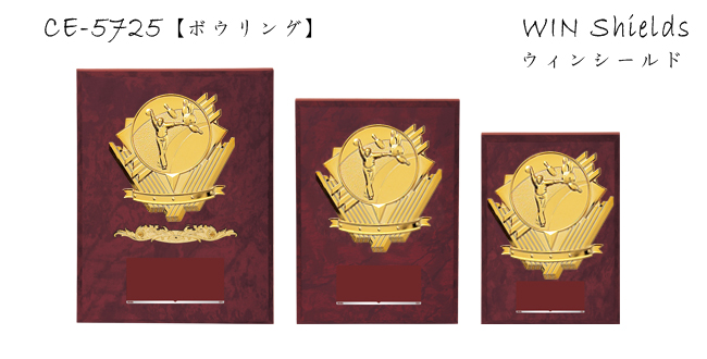 Win Shields【ウィンシールド】CE-5725ボウリング