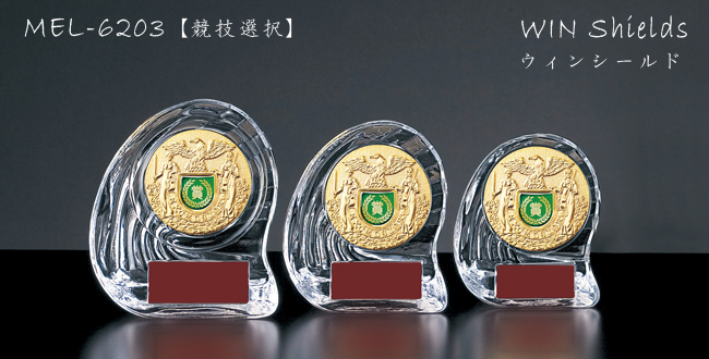 WINShield【ウィンシールド】MEL-6203