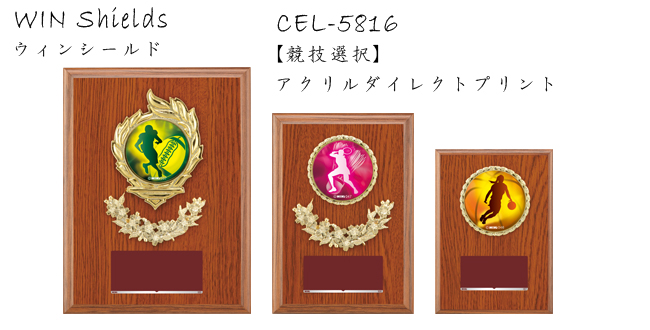 Win Shields【ウィンシールド】CEL-5816競技選択