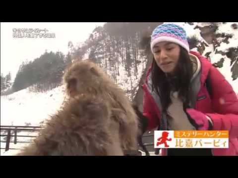 輪島塗の作家　スザーン・ロスさんがテレビ出演